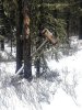 IMG_20171107_123909.jpg