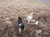 20171107_105220.jpg