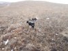 20171107_105302.jpg
