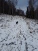 20171108_102919.jpg
