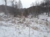 20171108_113347.jpg