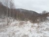 20171108_113353.jpg
