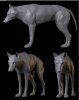 wolf_ac.jpg