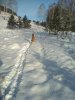 IMG_20171112_145326.jpg
