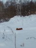 IMG_20171118_124931.jpg