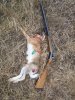 IMG_20171031_141708.jpg