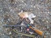 IMG_20171020_134143.jpg