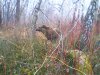 IMG0068A.jpg