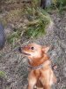 20171003_145053.jpg