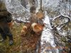 DSCN0537.JPG