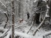 DSCN0603.JPG
