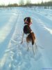 IMG_20171224_154039.jpg