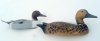 20130213_114734.jpg