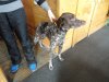 DSC05818-2.JPG
