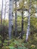 IMG_0587.JPG