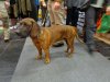 DSC00468.JPG