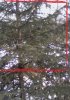 P02-03-13_09.59.jpg