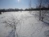 DSC02100.JPG