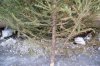 DSC00685.JPG