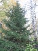 IMG_0588.JPG