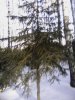 P02-03-13_10.03.jpg