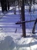 IMG_20130221_152652.jpg