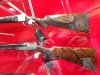 DSC00910.JPG