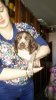 20170917_174119.jpg