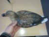 20180122_130412.jpg