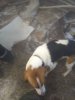 IMG-20180125-WA0021.jpg
