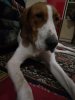 IMG-20180125-WA0022.jpg