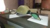 IMG-20180126-WA0014.jpg