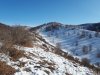 20180202_123747.jpg