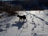 20180202_123720.jpg