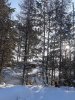 20180204_112947.jpg