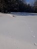 20180204_115822.jpg