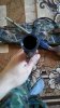 IMG-20170917-WA0022.jpeg