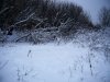 P1020210.JPG