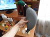 SAM_1102.JPG