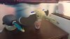 IMG-20180222-WA0002.jpg