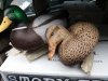 20180223_111807.jpg