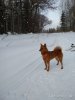 IMG_20180225_173533.jpg