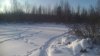 P_20180217_102117.jpg