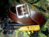 DSC07863.JPG