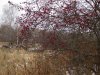 IMG_1501.JPG