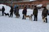 выставка собак  г.Колпашево 3.03.18г 036.JPG