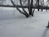 Изобр1 003.jpg