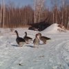 20180316_152926.jpg