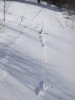 DSCF1117.JPG