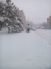 IMG_20180326_084016.jpg